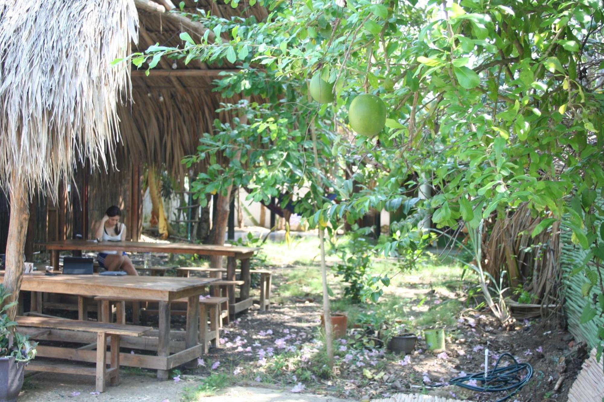 Hostel Nugeku Rincón المظهر الخارجي الصورة