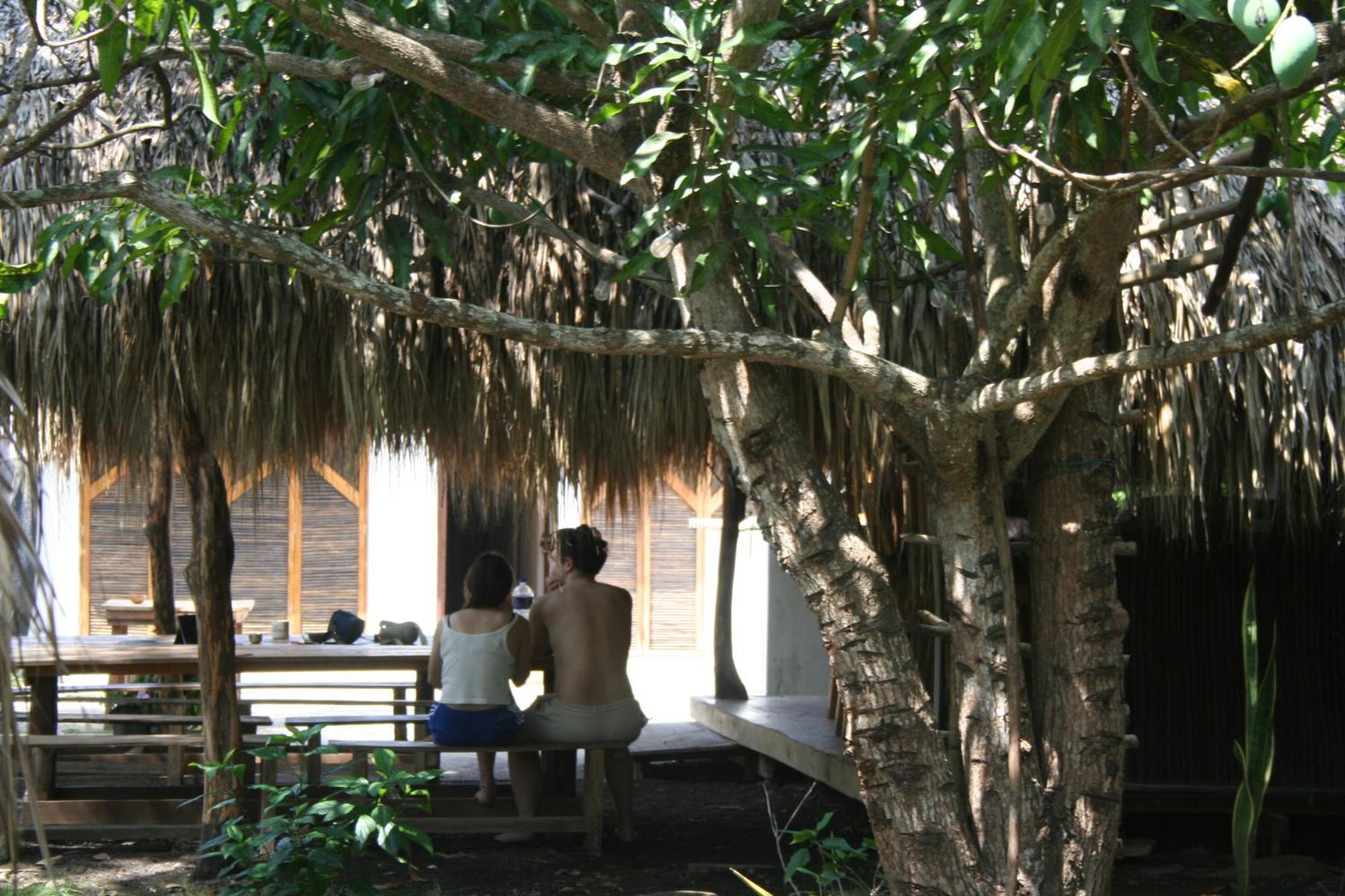 Hostel Nugeku Rincón المظهر الخارجي الصورة